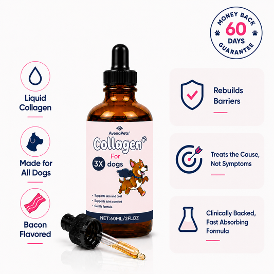 Avena Pets Premium Liquid Collagen
