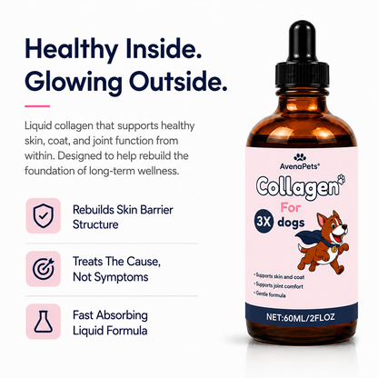 Avena Pets Premium Liquid Collagen