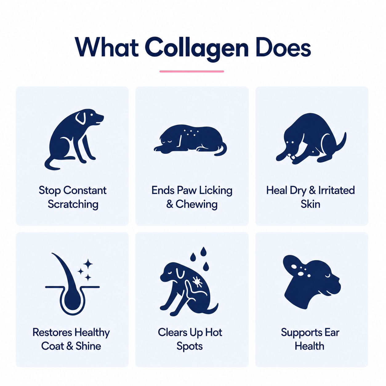 Avena Pets Premium Liquid Collagen